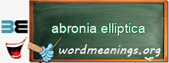 WordMeaning blackboard for abronia elliptica